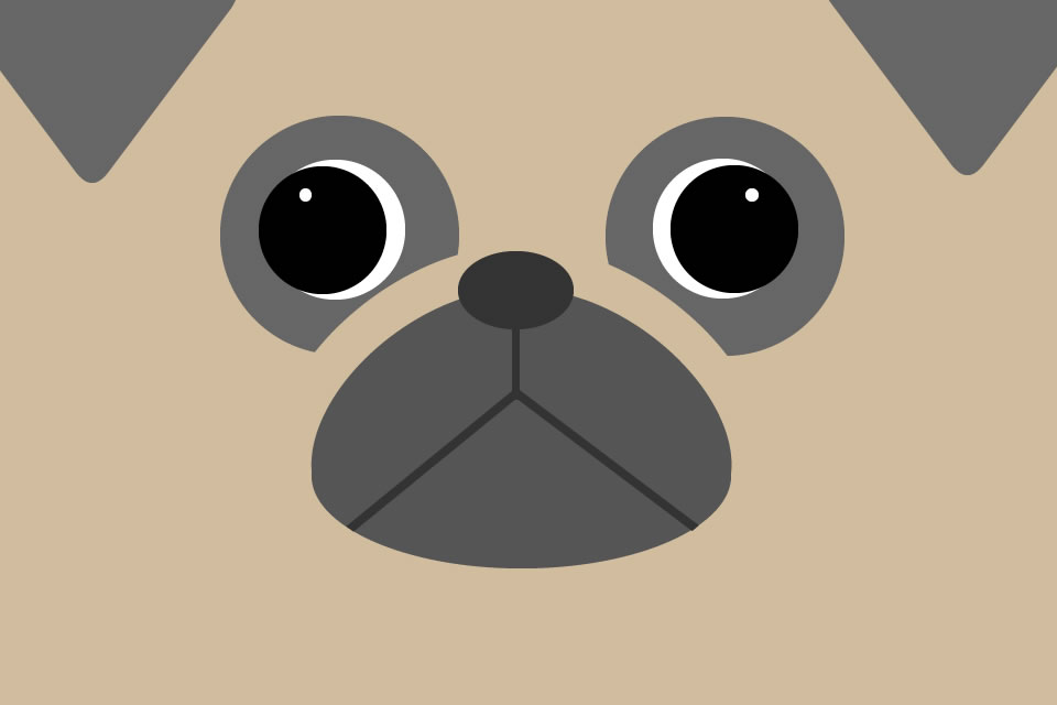 pug_illustration