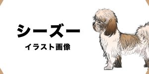 Amazon アマゾン 赤ちゃんとライオンに変身した犬の感動cm パグーグル ブサカワ犬 鼻ぺちゃ犬情報サイト